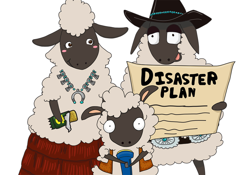 Three Little Sheep Campaign