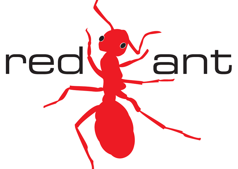 Red Ant Productions Identity